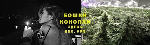 ПСИЛОЦИБИНОВЫЕ ГРИБЫ Балабаново