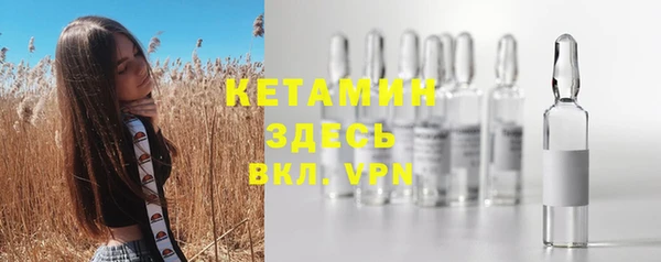 шишки Белокуриха