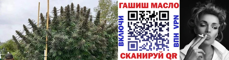 ТГК гашишное масло  Пикалёво 