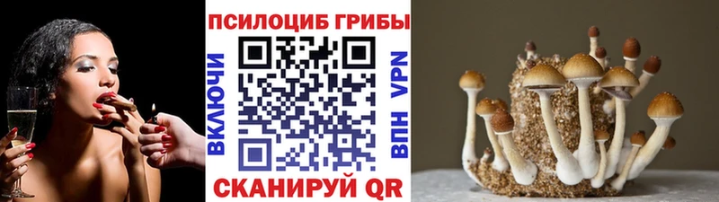 Галлюциногенные грибы мицелий  Пикалёво 